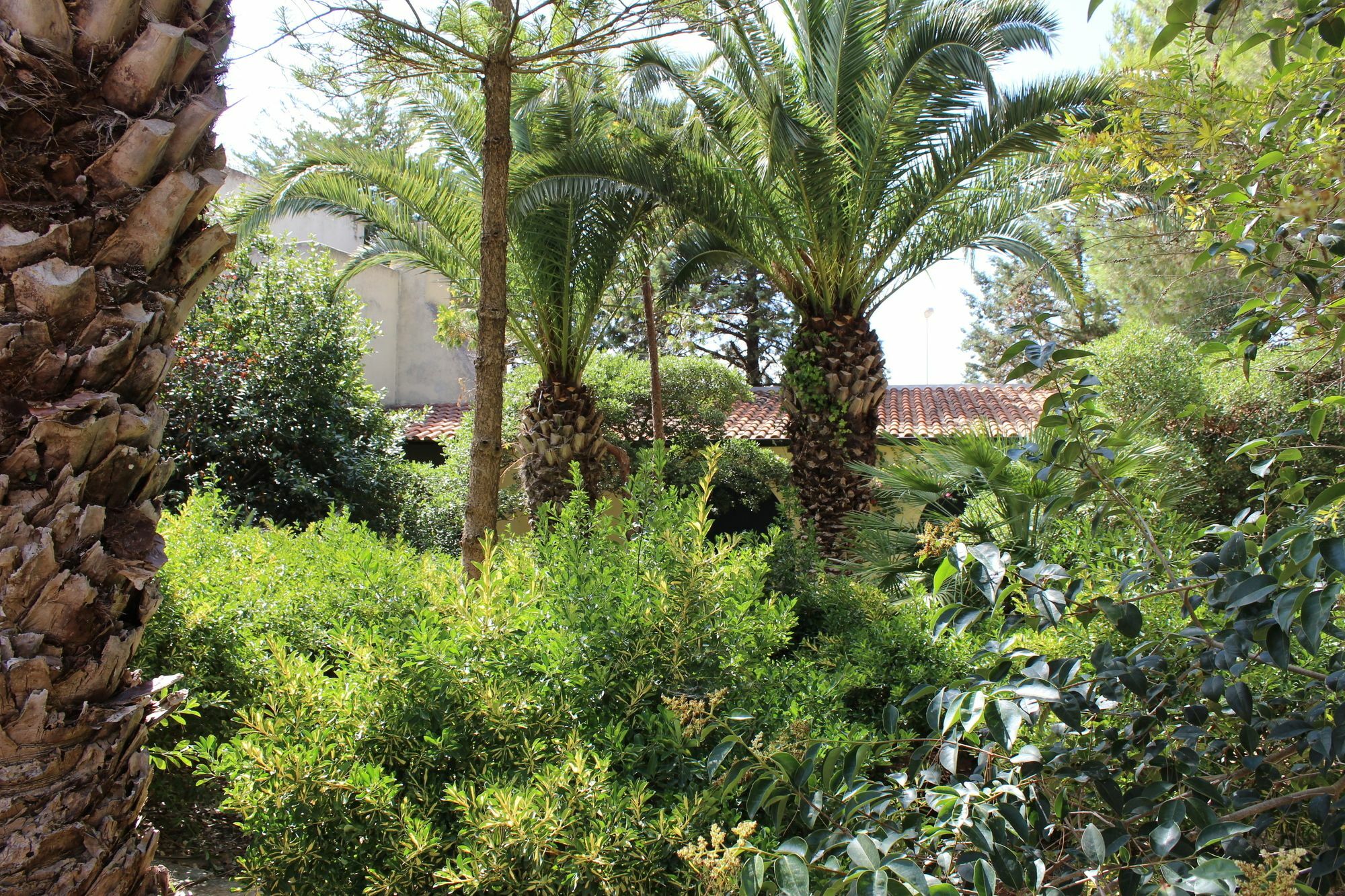 Masseria Pagani Nardò Exterior foto